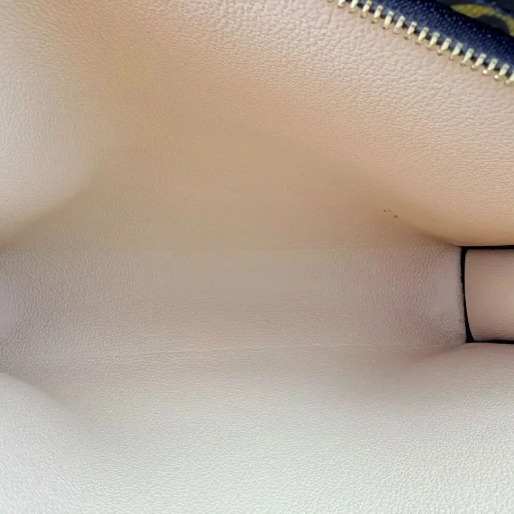 Louis Vuitton Women Pre-Loved Bag Very Good Condition